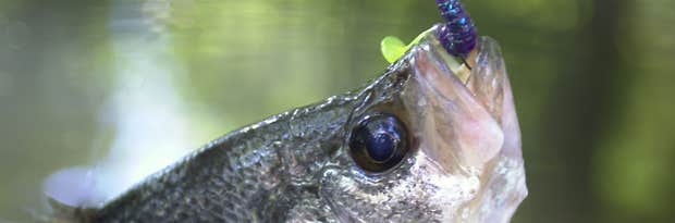 Camper-submitted photo at Beaver Creek State Park Campground near Poland, OH