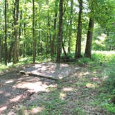 Review photo of Peaks Of Otter Campground — Blue Ridge Parkway by Lisa M., July 9, 2018