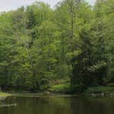 Review photo of Beaver Creek State Park Campground by Mike T., July 25, 2016