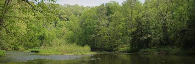 Camper submitted image from Beaver Creek State Park Campground - 5