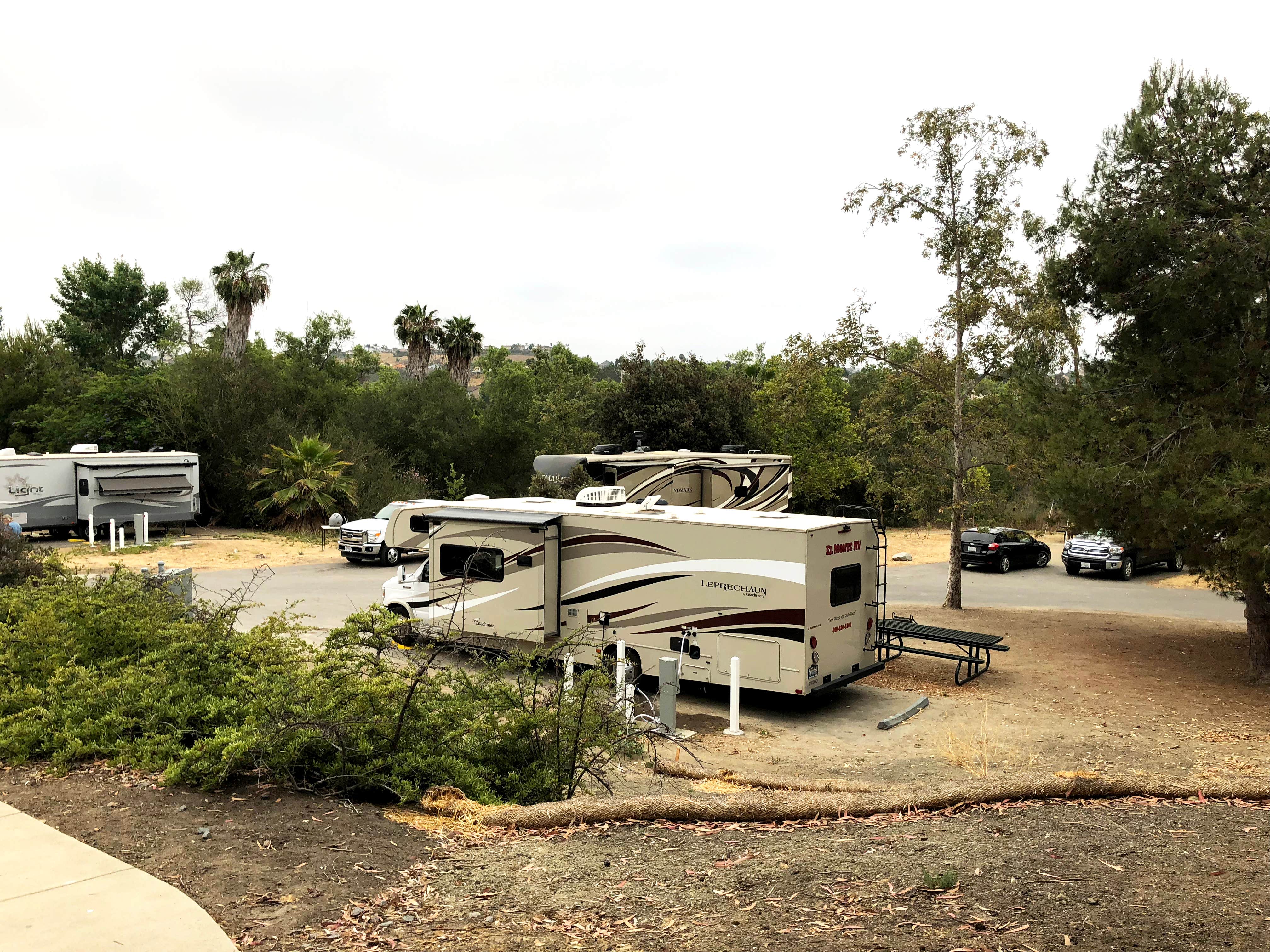Camper submitted image from Guajome Regional Park - 5