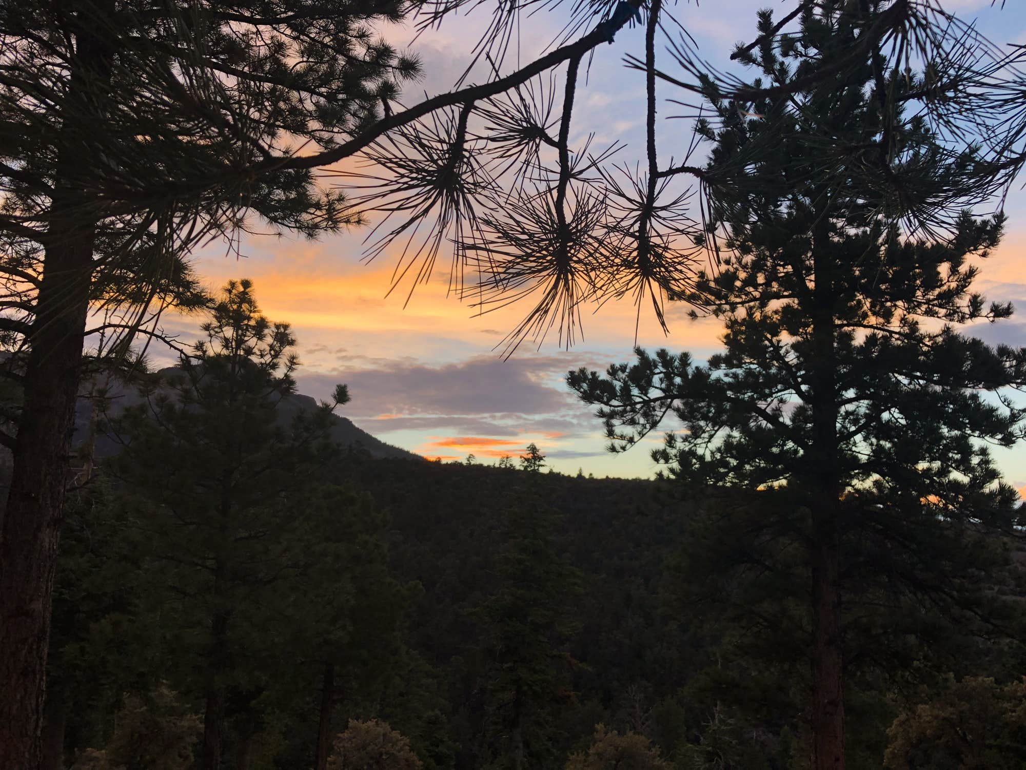 Hilltop campground Mt Charleston camping