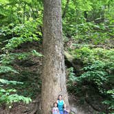Review photo of Amicalola Falls State Park Camping by Kim S., July 9, 2018