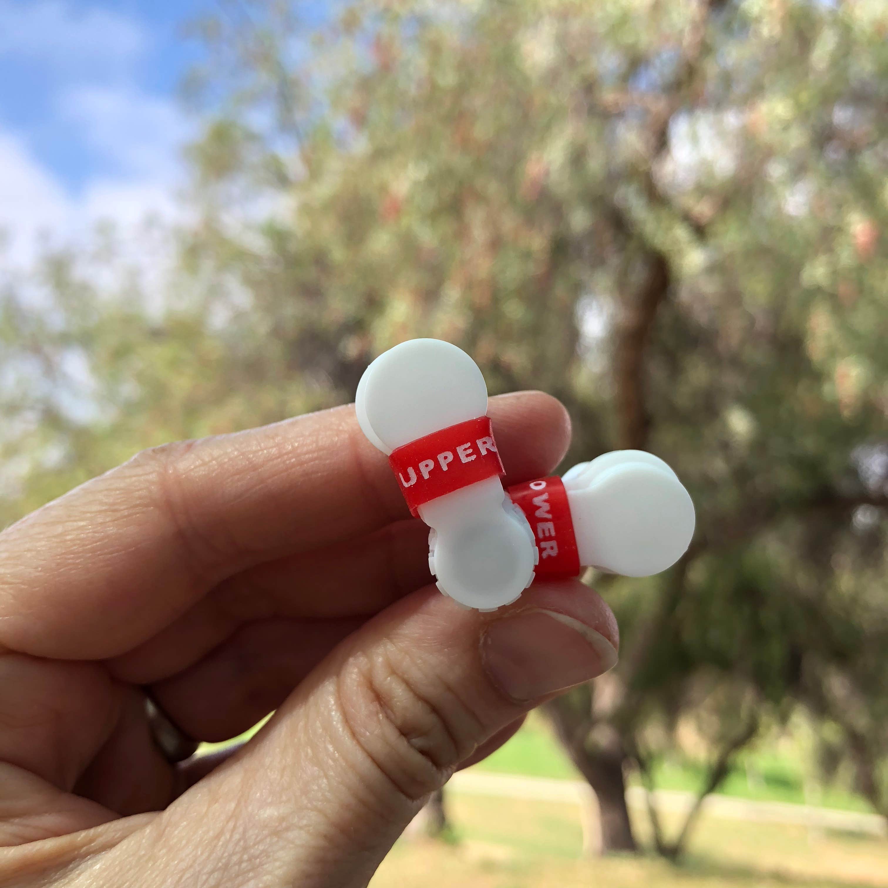 Camper-submitted photo at Guajome Regional Park near Dana Point, CA