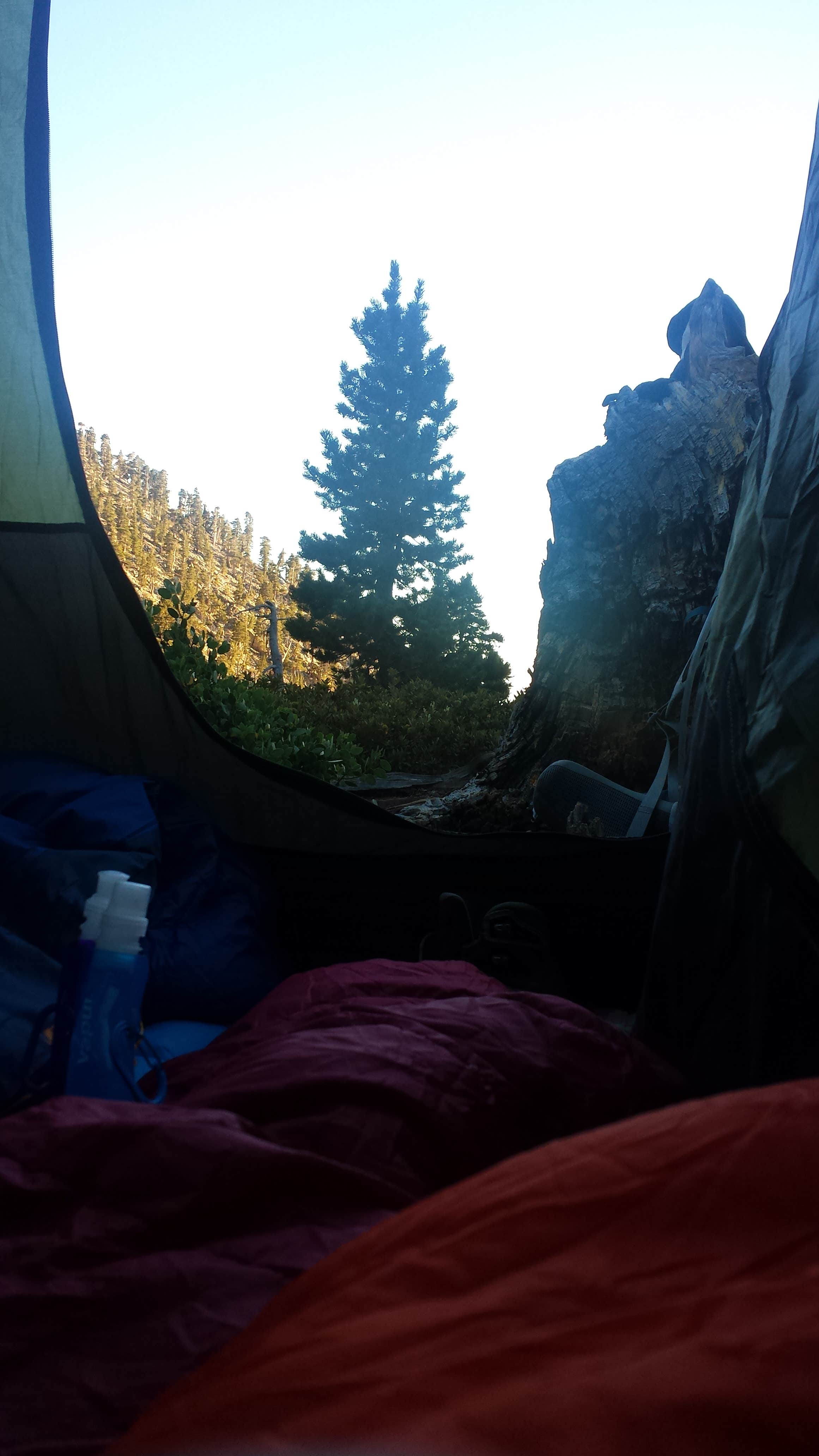 Camper submitted image from San Gorgonio Campground - 2