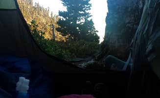 Shannon C.'s photo at San Gorgonio Campground near Forest Falls, CA