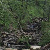 Review photo of Abrams Creek Campground — Great Smoky Mountains National Park by Jennifer L., July 9, 2018
