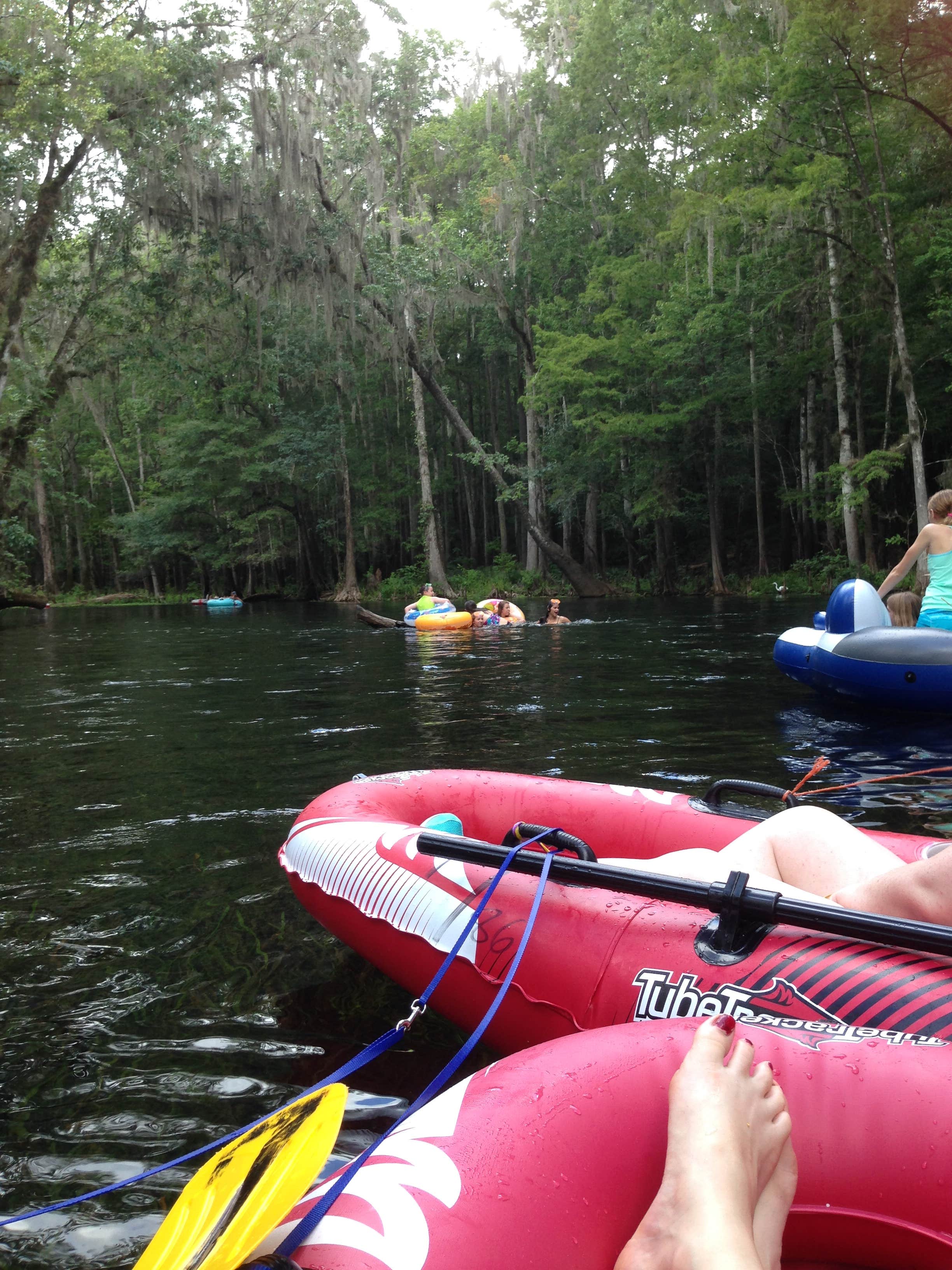Camper-submitted photo at Ichetucknee Springs Campground near Chiefland, FL