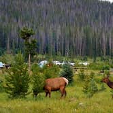 Review photo of Timber Creek Campground — Rocky Mountain National Park by Mary S., July 9, 2018