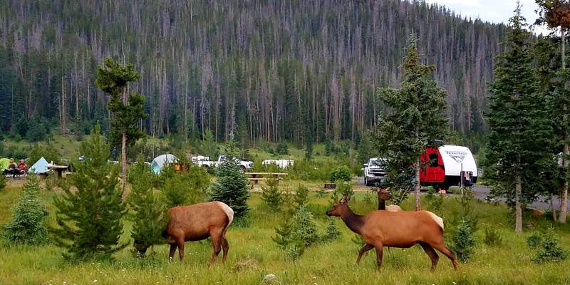 Camper submitted image from Timber Creek Campground — Rocky Mountain National Park
