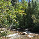 Review photo of Cement Creek Campground by Tami T., July 10, 2018