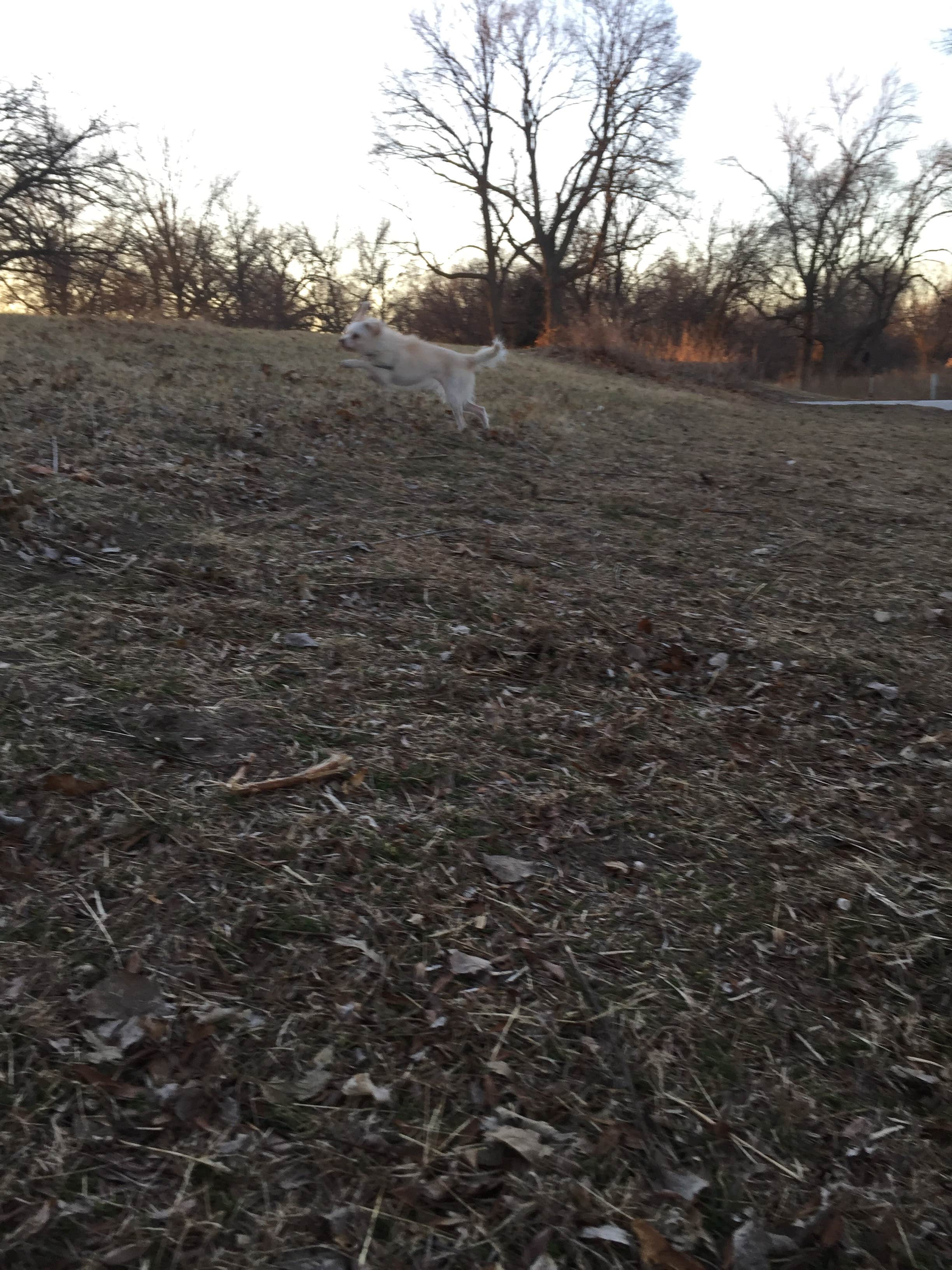 Camper-submitted photo at Riverside Campground — Two Rivers SRA near Pisgah, IA