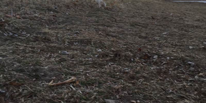 Camper submitted image from Riverside Campground — Two Rivers SRA