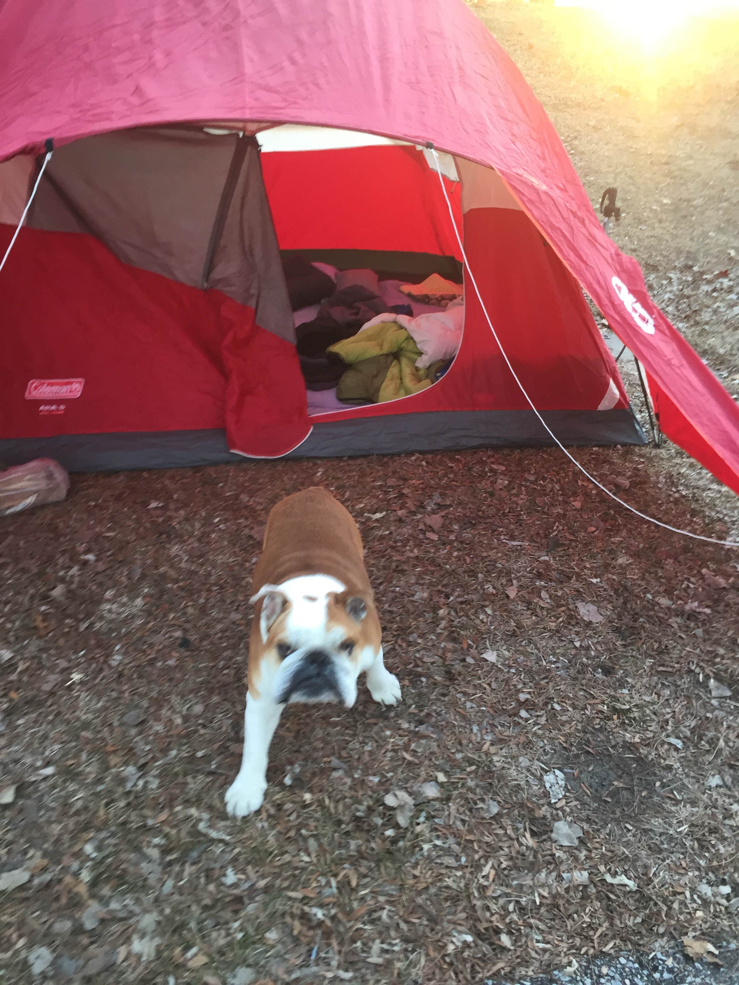 Camper-submitted photo at Riverside Campground — Two Rivers SRA near Pisgah, IA