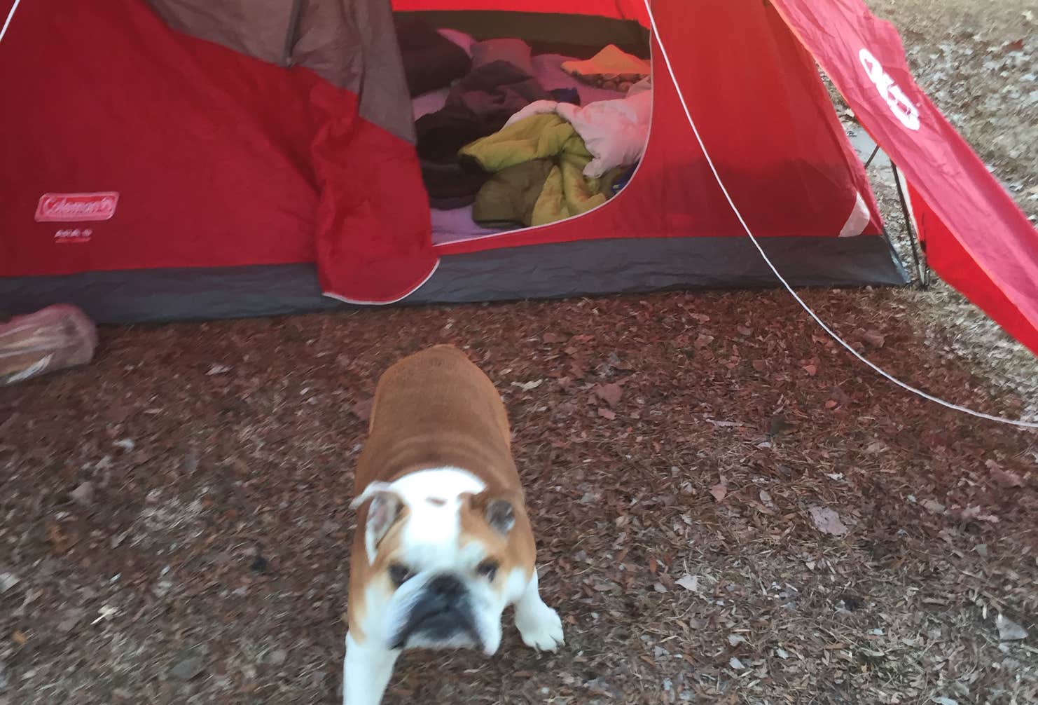 Two Rivers Sra Riverside Campground — Two Rivers SRA | Waterloo, Nebraska