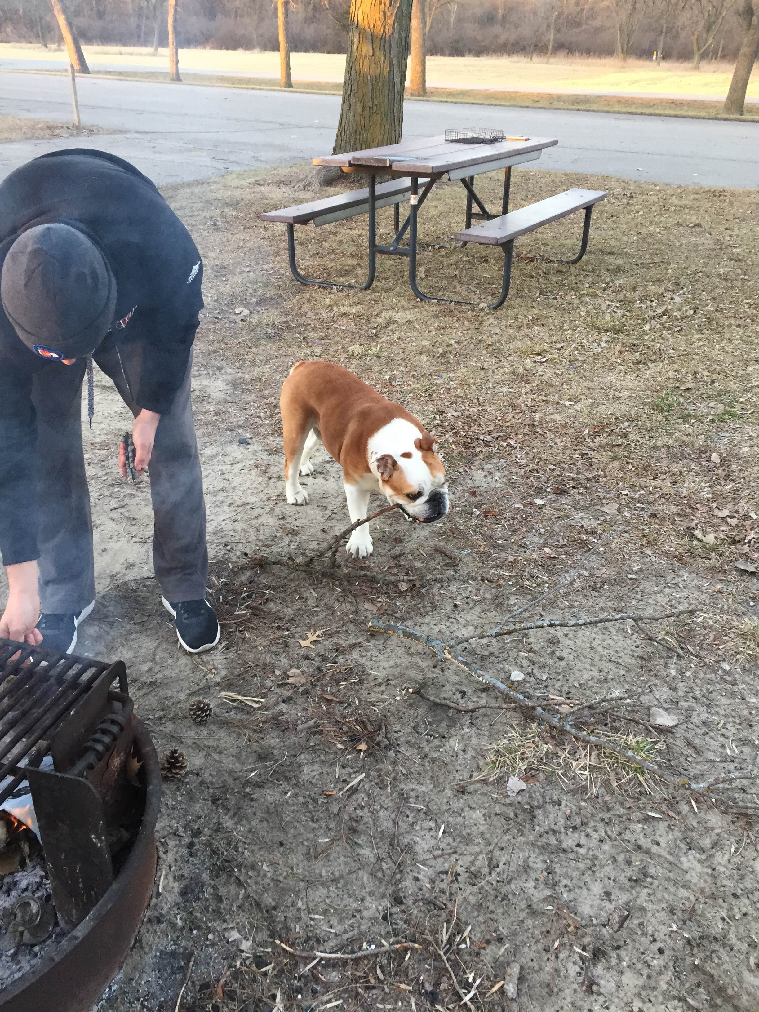 Kwin K.'s photo of camping with pets at Riverside Campground — Two Rivers SRA near Ashland, NE