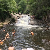 Review photo of Van Hook Glade by Asher K., July 10, 2018
