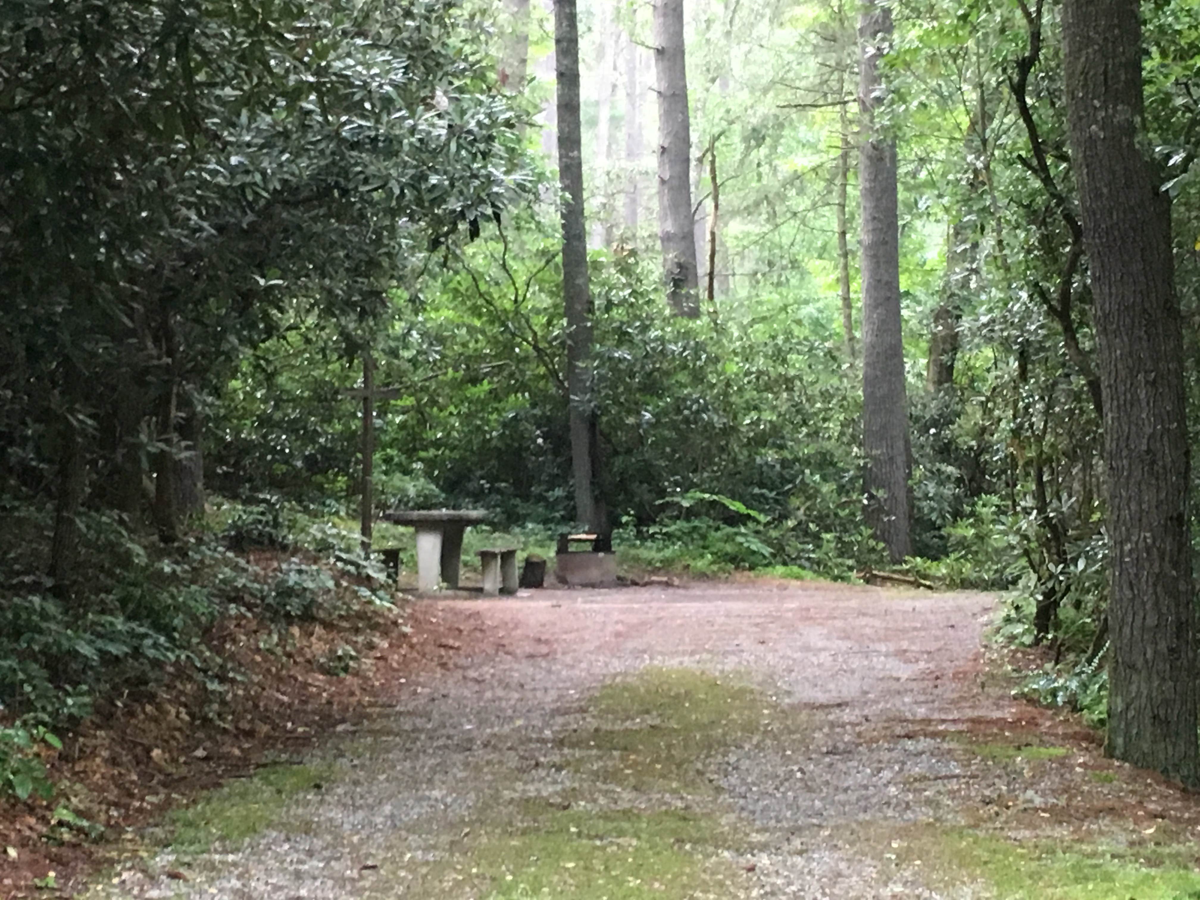 Camper submitted image from Van Hook Glade - 3