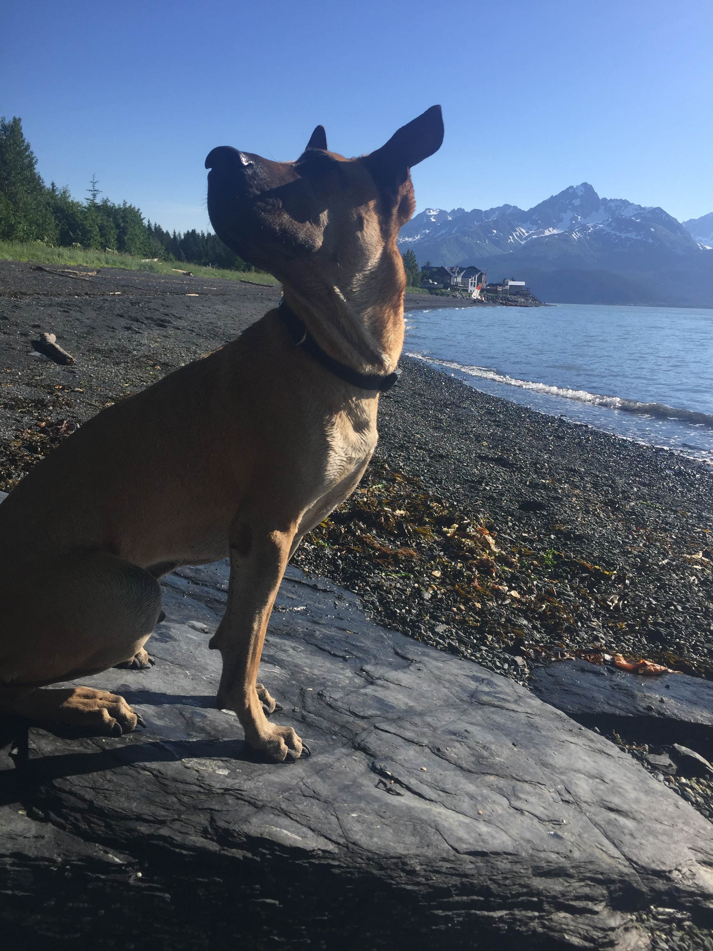 Camper-submitted photo at Seward City Campgrounds in Alaska