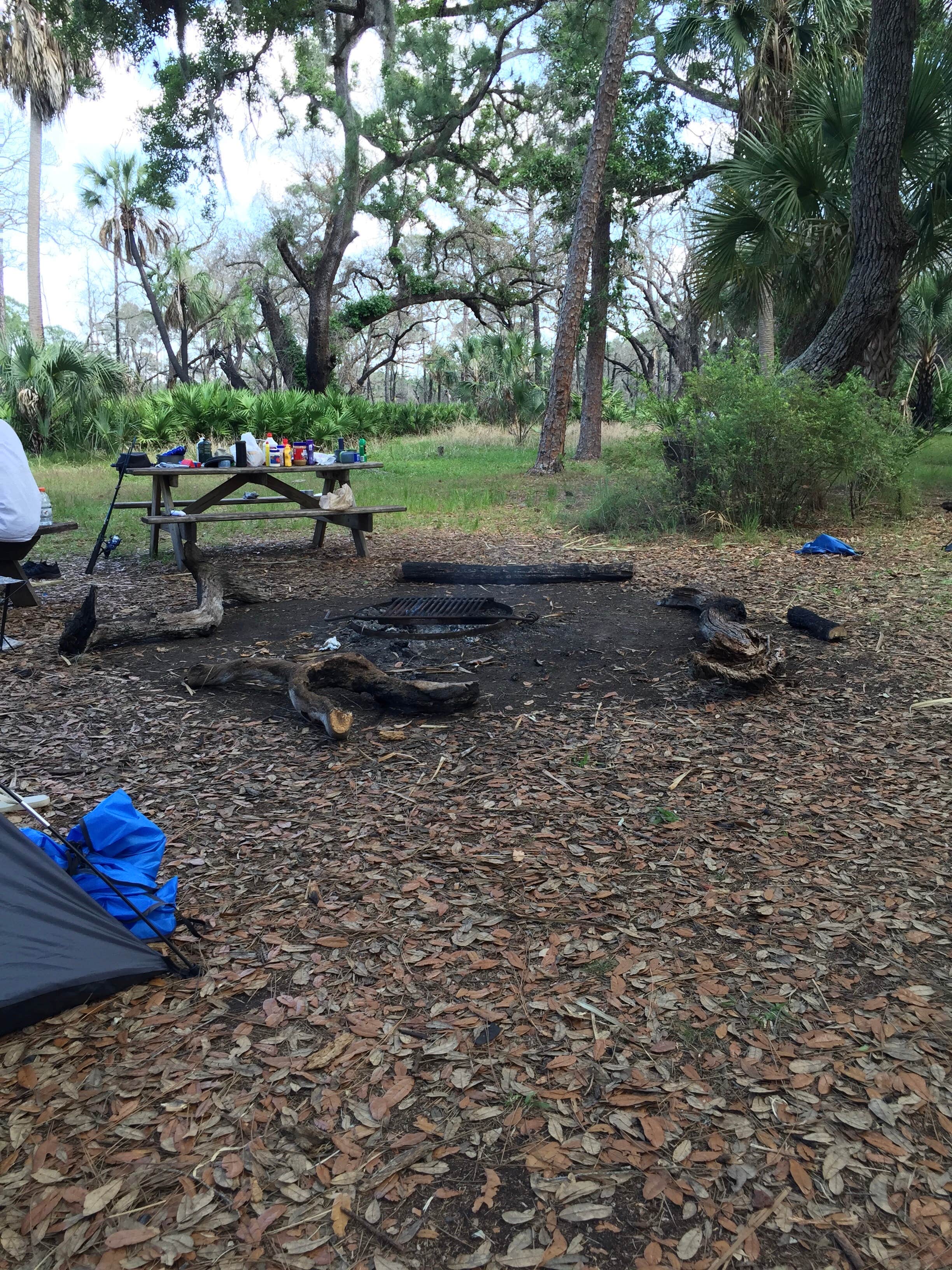 Camper submitted image from Lake Kissimmee State Park Campground - 2