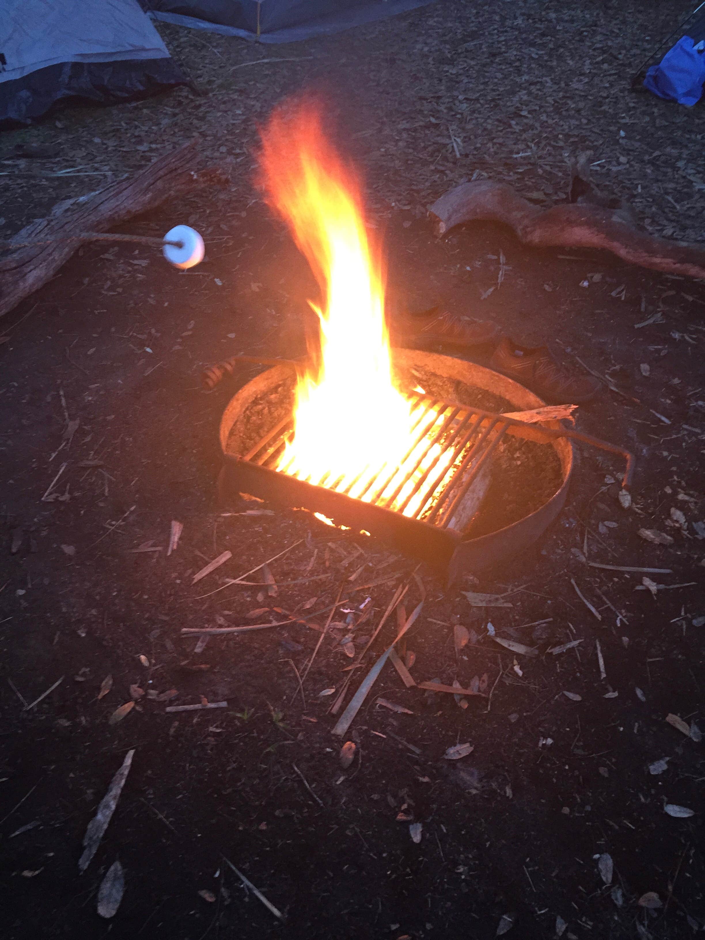 Jessica S.'s photo at Lake Kissimmee State Park Campground near Lake Wales, FL