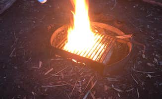 Jessica S.'s photo at Lake Kissimmee State Park Campground near Babson Park, FL