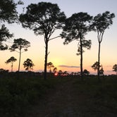 Review photo of Lake Kissimmee State Park Campground by Jessica S., July 10, 2018