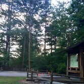 Review photo of Oconee State Park Campground by Jessica S., July 10, 2018