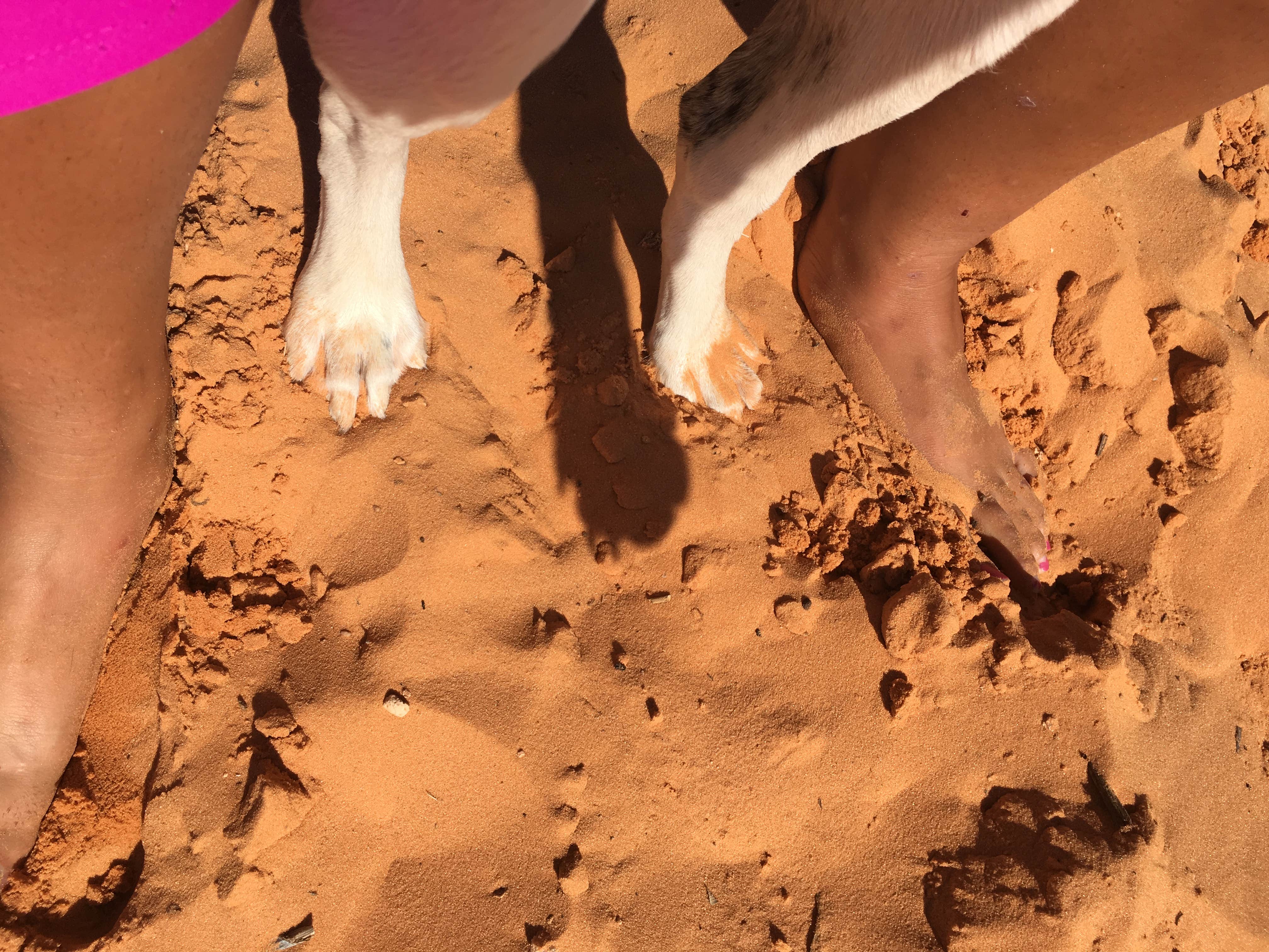 Camper-submitted photo at Big Biloxi Recreation Area near Gulfport, MS