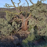 Review photo of Indian Wells - Lava Beds National Monument by Audrey L., July 10, 2018