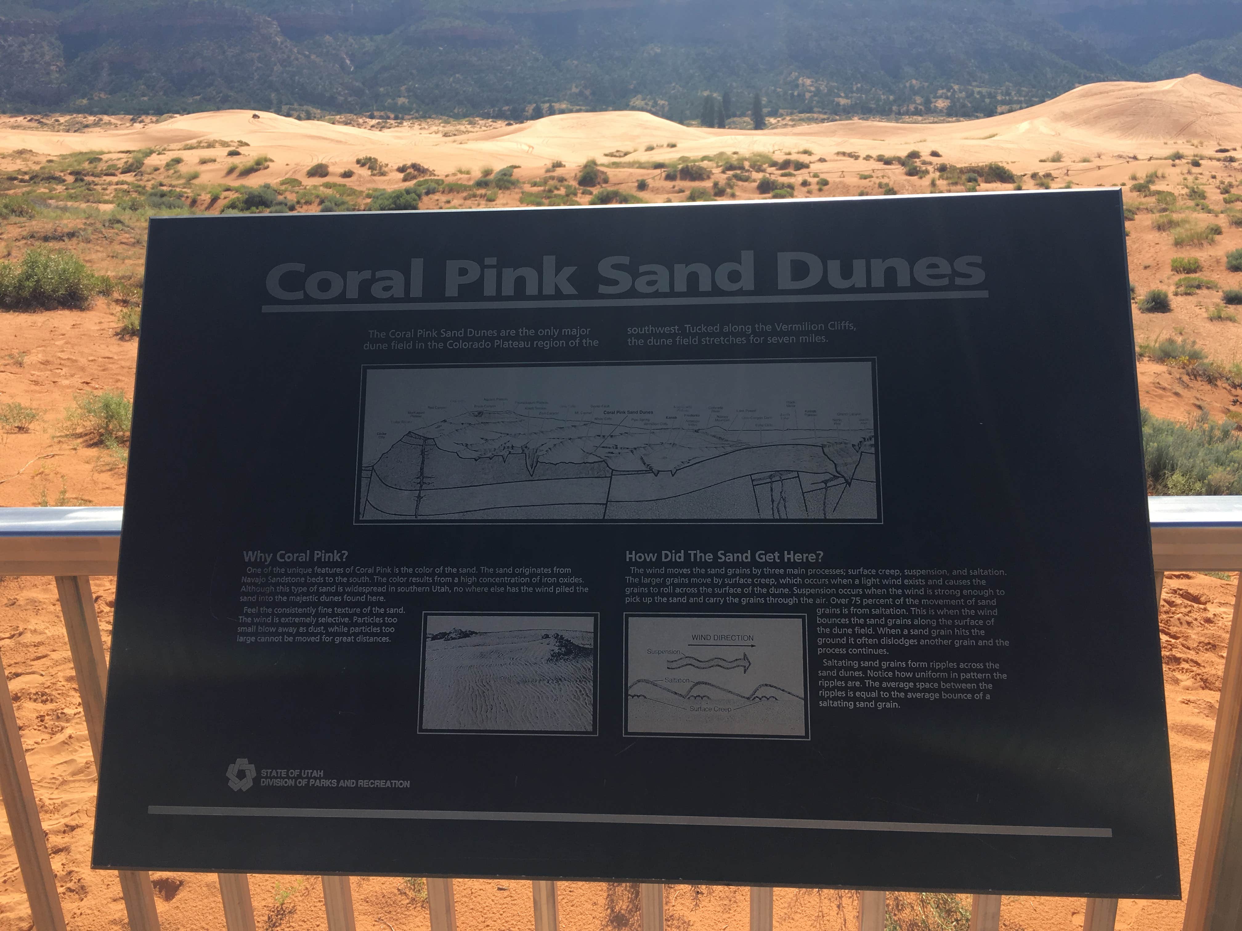 Camper-submitted photo at Coral Pink Sand Dunes State Park Campground near Hildale, UT