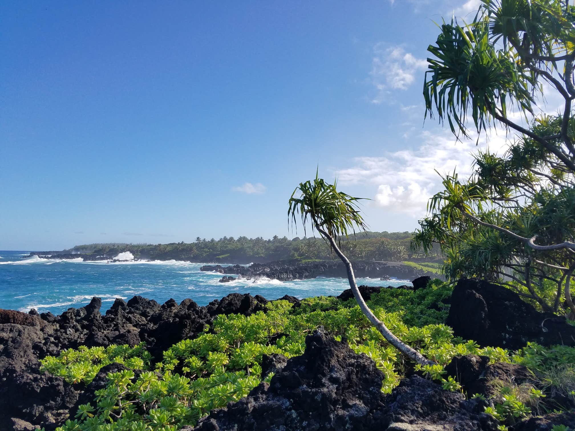Camper-submitted photo at Waiʻanapanapa State Park Campground in Hawaii