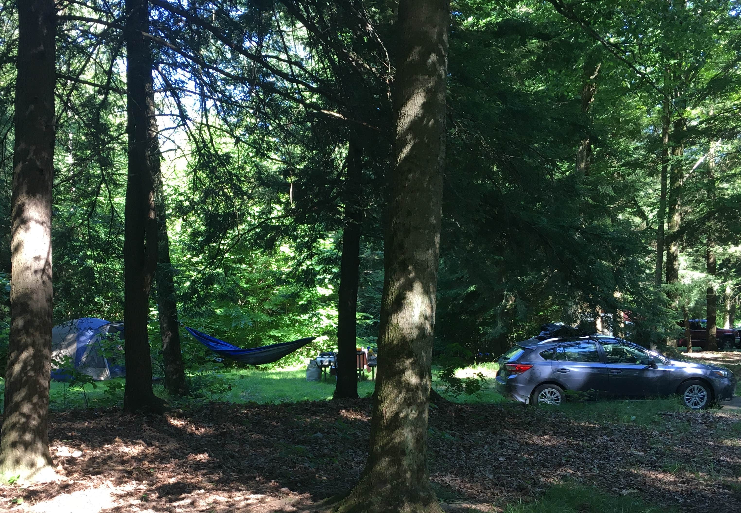 Resa B.'s photo at Crooked Run Campground — Prince Gallitzin State Park near Ebensburg, PA