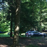 Review photo of Crooked Run Campground — Prince Gallitzin State Park by Resa B., July 10, 2018