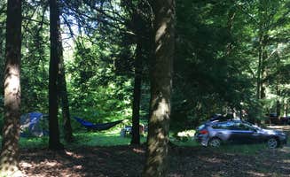 Resa B.'s photo at Crooked Run Campground — Prince Gallitzin State Park near Glen Campbell, PA