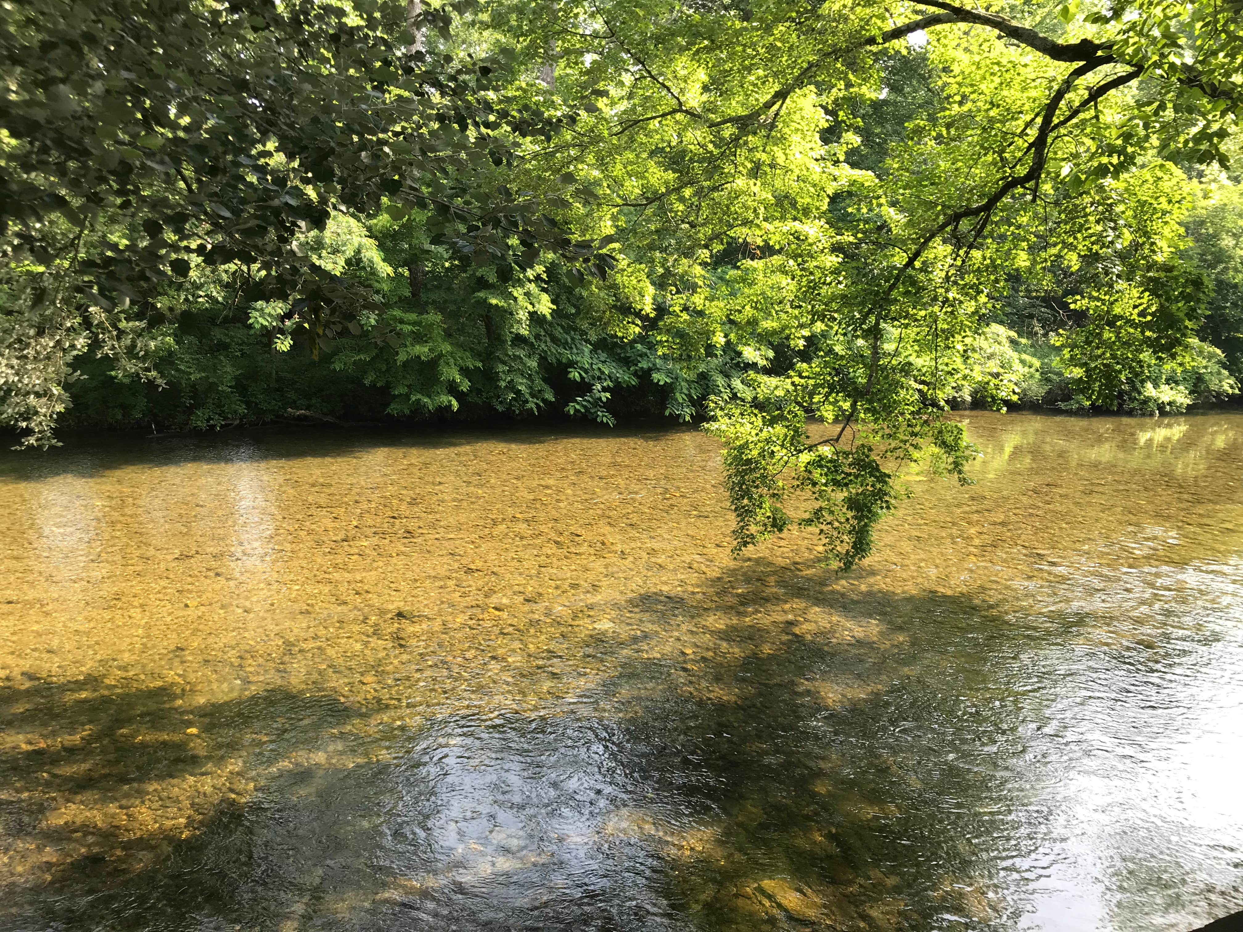Camper-submitted photo at Townsend-Great Smokies KOA near Townsend, TN