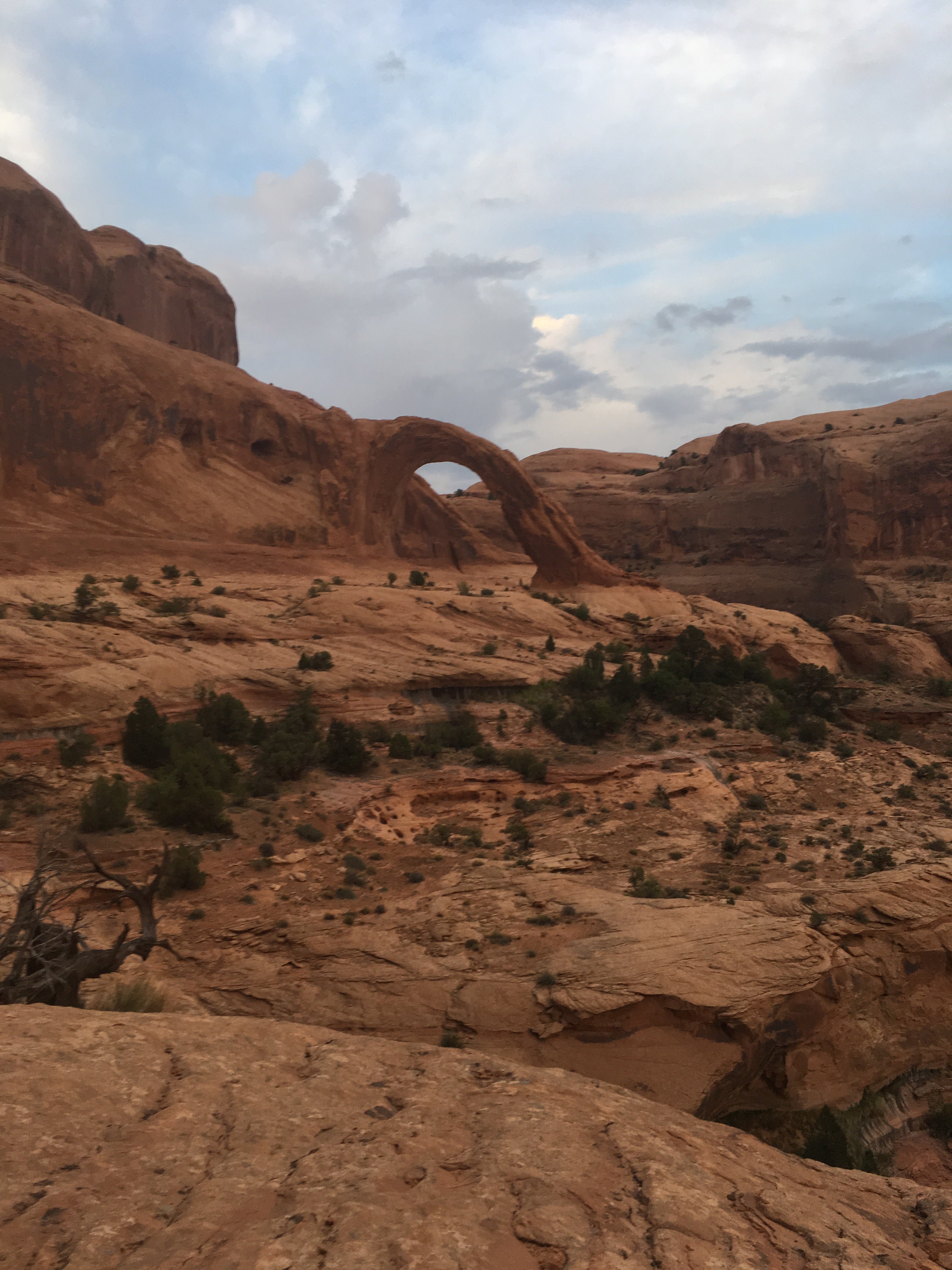 Camper submitted image from MOAB KOA - 4