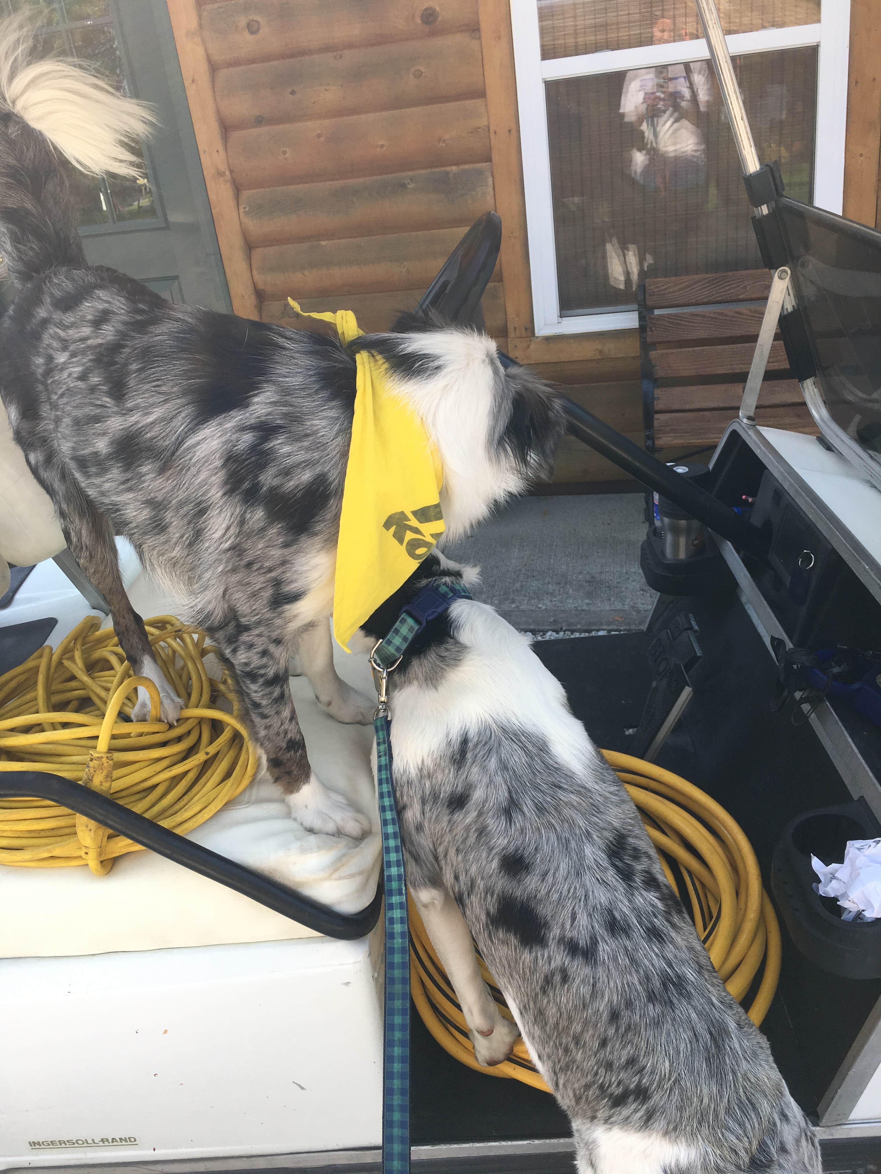 Camper-submitted photo at Kansas City East-Oak Grove KOA near Independence, MO