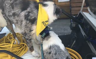 Resa B.'s photo of camping with pets at Kansas City East-Oak Grove KOA near Excelsior Springs, MO