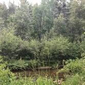 Review photo of Pigeon River State Forest Campground by Halie C., July 10, 2018