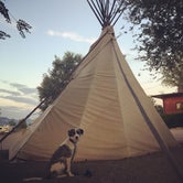 Review photo of Cortez, Mesa Verde KOA by Resa B., July 10, 2018