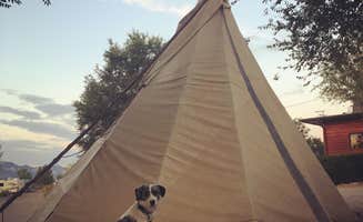 Resa B.'s photo at Cortez, Mesa Verde KOA near Cortez, CO