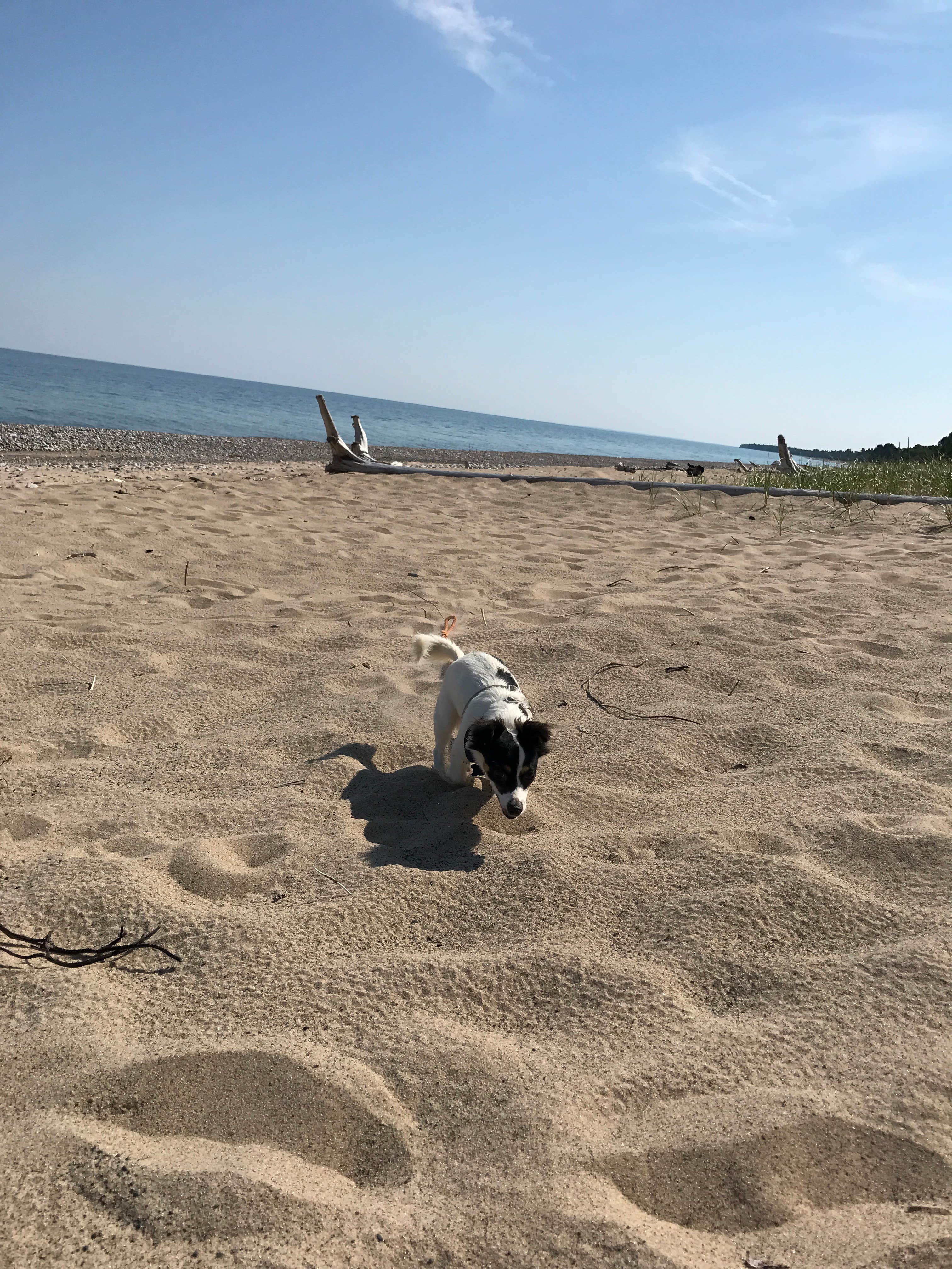 Camper submitted image from Lake Superior State Forest Campground - 2