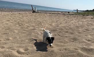 Halie C.'s photo of camping with pets at Lake Superior State Forest Campground near Grand Marais, MI