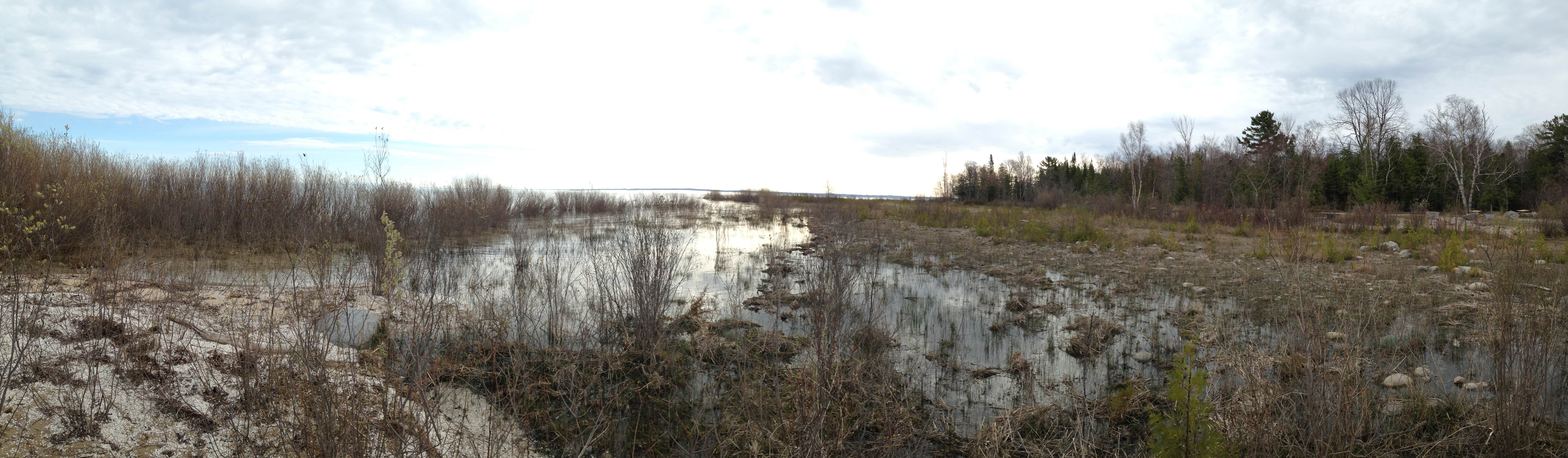 Camper-submitted photo at Leelanau State Park Campground near Maple City, MI