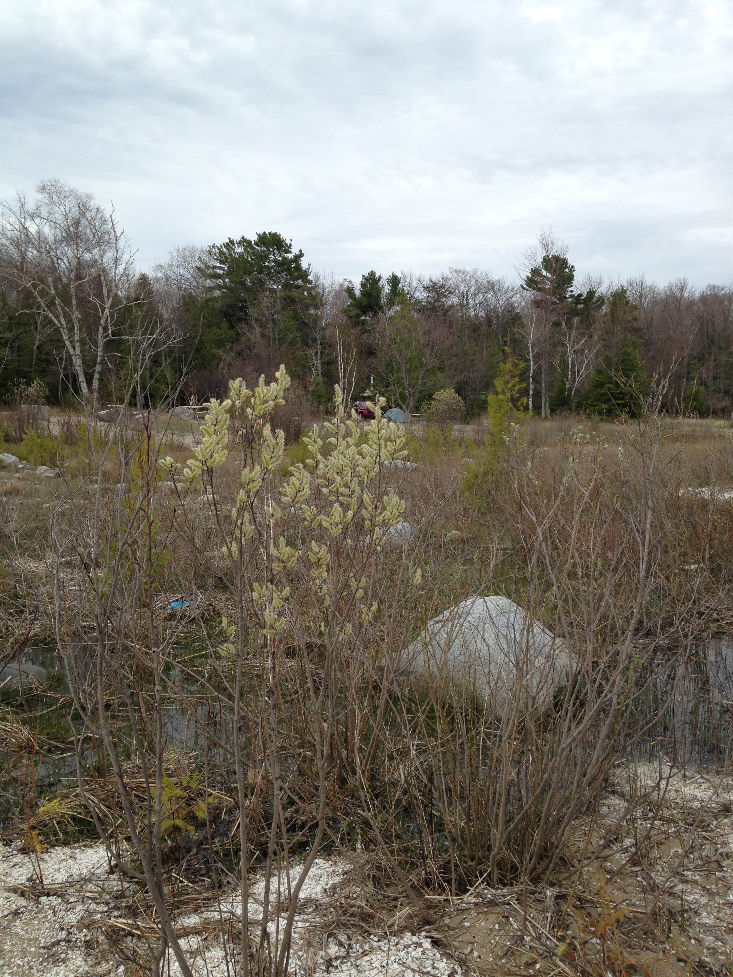 Camper-submitted photo at Leelanau State Park Campground near Maple City, MI