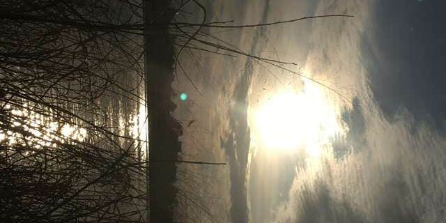 Camper submitted image from Bear Glen