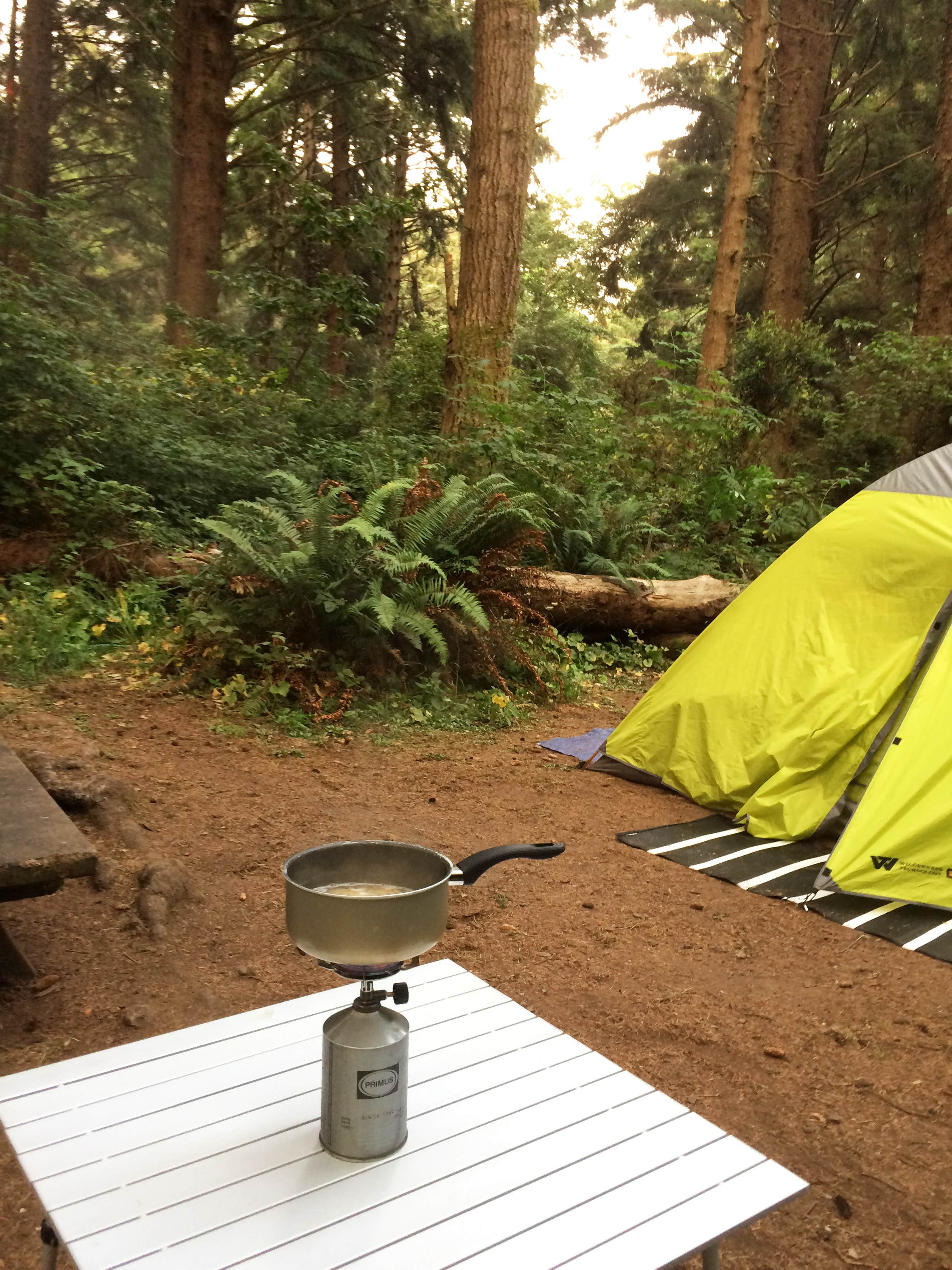 Corinna B.'s photo at Abalone Campground near Blue Lake, CA