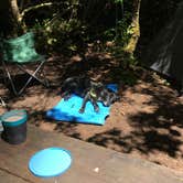 Review photo of Abalone Campground — Sue-meg State Park by Johanna K., July 10, 2018