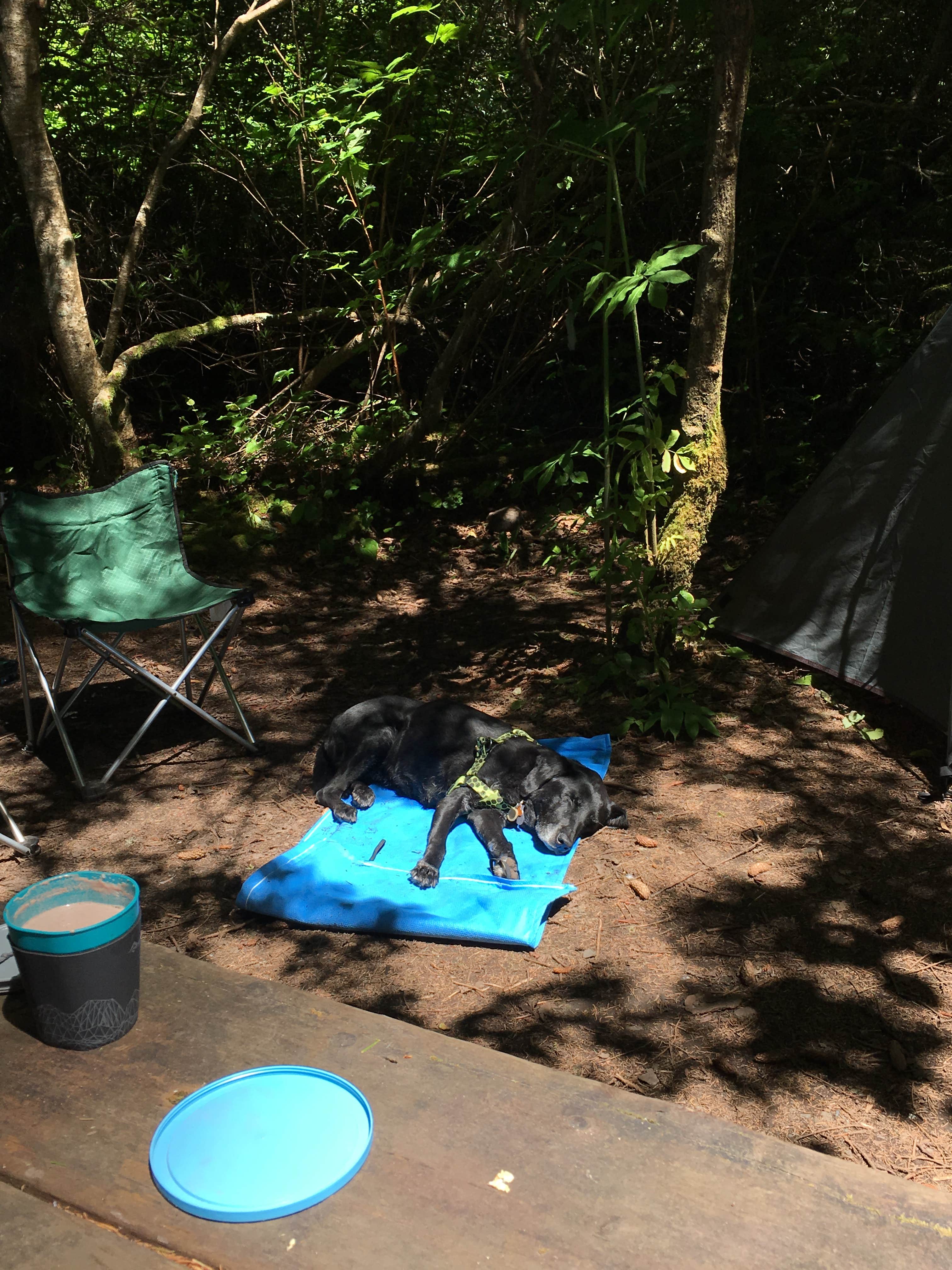 Camper submitted image from Abalone Campground — Sue-meg State Park - 4